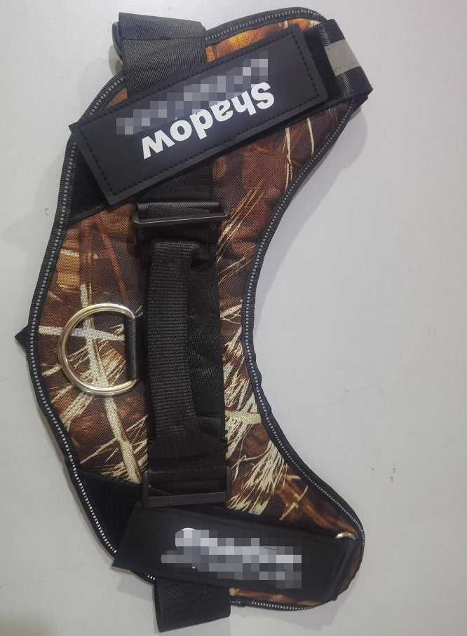 Hojas caídas